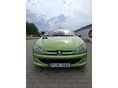 PEUGEOT 206 2003/12 - 3