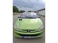 PEUGEOT 206 2003/12 - 8