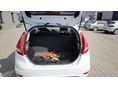 FORD FIESTA 2011 - 5