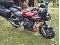 YAMAHA FZS 1000 (FAZER) 2005/3 - 3