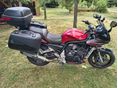 YAMAHA FZS 1000 (FAZER) 2005/3 - 4