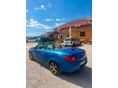 RENAULT MEGANE 1.9 dCi Monaco