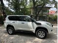 TOYOTA LAND CRUISER 2013/8 - 5
