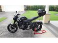 TRIUMPH TRIDENT 2023/7 - 2