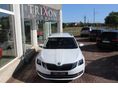 SKODA OCTAVIA 2017/5 - 4