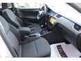 SKODA OCTAVIA 2017/5 - 13
