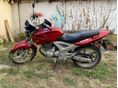 HONDA CBF 250 2005 - 1
