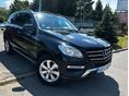 MERCEDES-BENZ ML 350 BlueEFFICIENCY (Automata) GYÁRI ÁLLAPOT+TETŐ+BARNA BŐR