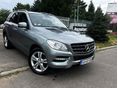 MERCEDES-BENZ ML 350 BlueTEC (Automata) GYÁRI ÁLLAPOT+FRISS MŰSZAKI +HOROG