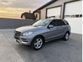 MERCEDES-BENZ ML 250 BlueTEC (Automata)