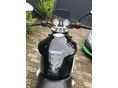 HONDA CB 900 F (HORNET) 2004/1 - 3