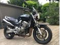HONDA CB 900 F (HORNET) 2004/1 - 8