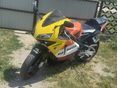 HONDA CBR 600 RR 2004/3 - 2