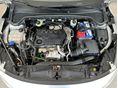 FORD FOCUS 2022/9 - 24