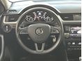 SKODA RAPID 2017/11 - 18