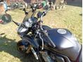 YAMAHA FZS 1000 (FAZER) 2005/5 - 4