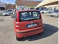 FIAT PANDA 2005/10 - 8