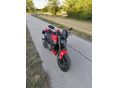 DUCATI MONSTER 2021/8 - 7