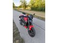 DUCATI MONSTER 2021/8 - 8