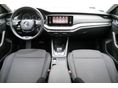 SKODA OCTAVIA 2023/5 - 7