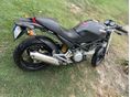 DUCATI MONSTER 400 2005 - 3
