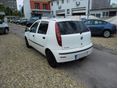 FIAT PUNTO 2005/12 - 4