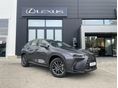 LEXUS NX 350h Business Edition Tech CVT Előfoglalható