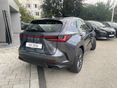 LEXUS NX 2026/7 - 2