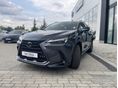 LEXUS NX 2026/7 - 4
