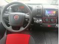 FIAT 2013/7 - 11
