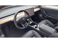 TESLA MODEL 3 2020/3 - 19