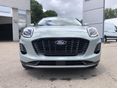 FORD PUMA 2026 - 4