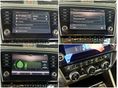 SKODA OCTAVIA 2018/8 - 17