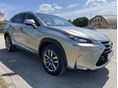 LEXUS NX 2017/6 - 6