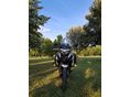 BENELLI TRK 502 X 2022/7 - 3
