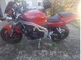TRIUMPH SPEED TRIPLE 2004/6 - 2