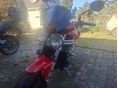 TRIUMPH SPEED TRIPLE 2004/6 - 6