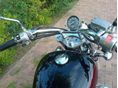 HONDA VT 400 C SHADOW 1997/8 - 5