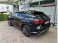 LEXUS RX 2024/12 - 5