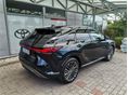 LEXUS RX 2024/12 - 6