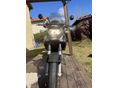 APRILIA PEGASO 