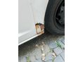SEAT IBIZA 2008/12 - 8