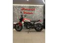 DUCATI SCRAMBLER ICON 2024 - 3