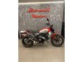 DUCATI SCRAMBLER ICON 2024 - 4