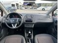 SEAT IBIZA 2009/3 - 13