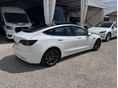 TESLA MODEL 3 2021/6 - 6