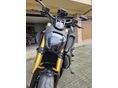 DUCATI DIAVEL 1260 2019/5 - 4