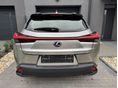 LEXUS UX 2021/12 - 7