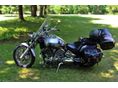 YAMAHA XVS 1100 DRAG STAR 