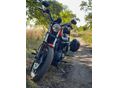HARLEY-DAVIDSON SPORTSTER 883 R 2012/10 - 8